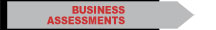 Business Assessments